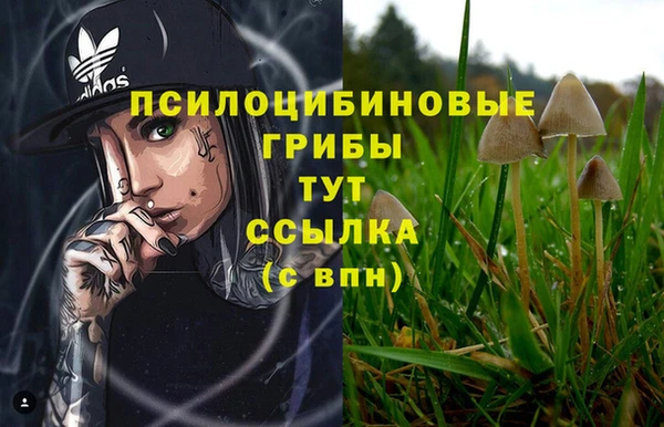 мяу мяу кристалл Алзамай