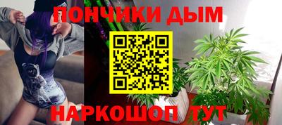 шишки Тверь