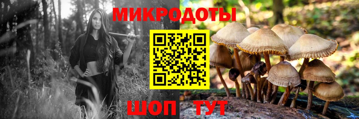 Псилоцибиновые грибы Cubensis Октябрьский