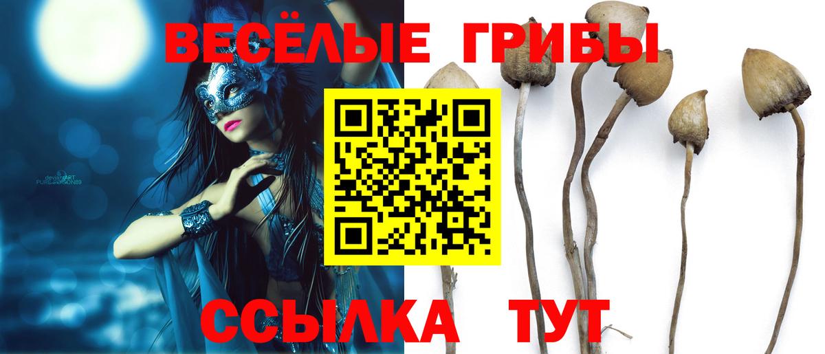 Октябрьский  Псилоцибиновые грибы ЛСД  Вход с VPN  Псилоцибиновые грибы прущие грибы 